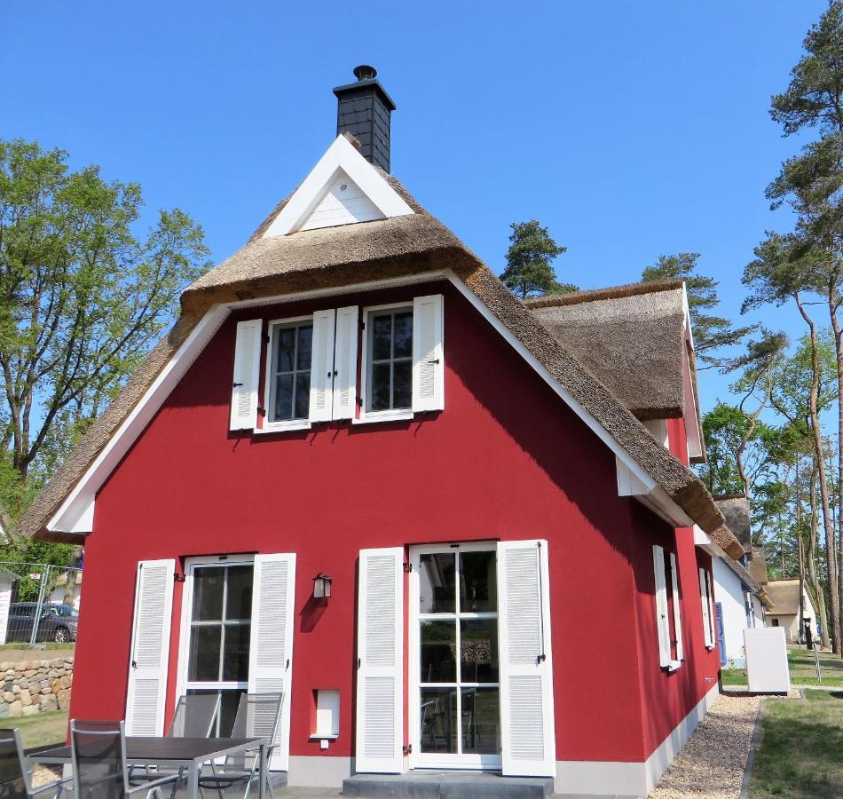 Reetdachhaus Am Haff Mit Sauna, Terrasse, Wlan Zirchow Exterior photo